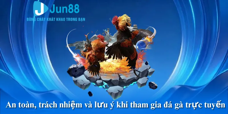An toàn, trách nhiệm và lưu ý khi tham gia đá gà trực tuyến