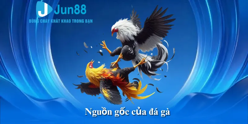 Nguồn gốc của đá gà