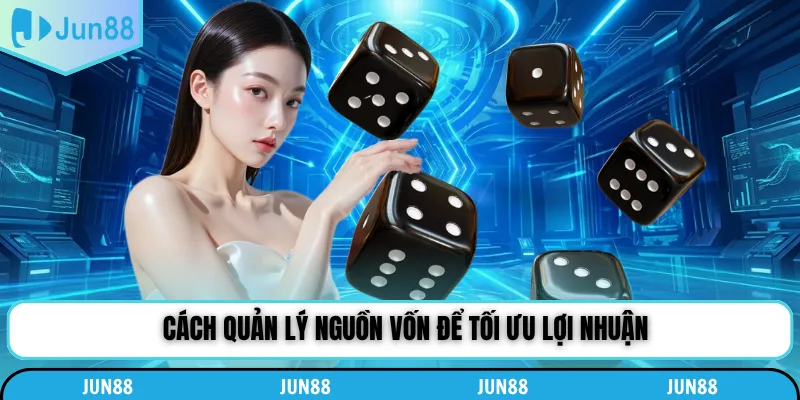 Cách quản lý nguồn vốn để tối ưu lợi nhuận