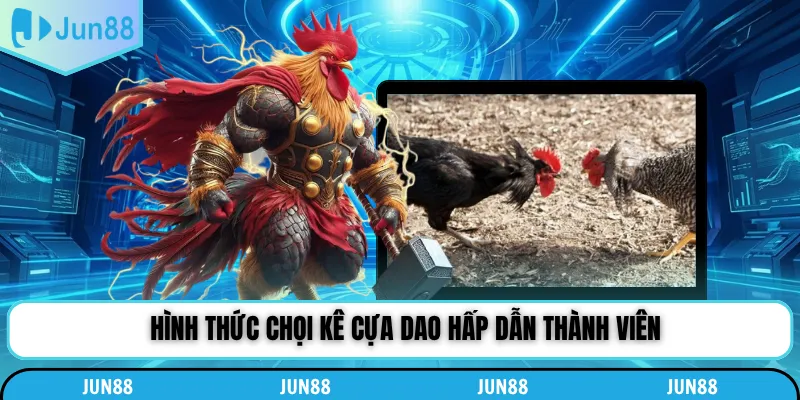 Hình thức chọi kê cựa dao hấp dẫn thành viên