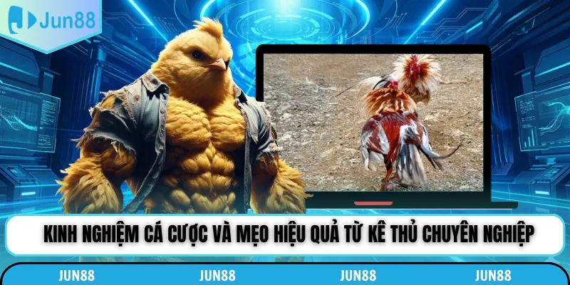 Kinh nghiệm cá cược và mẹo hiệu quả từ kê thủ chuyên nghiệp