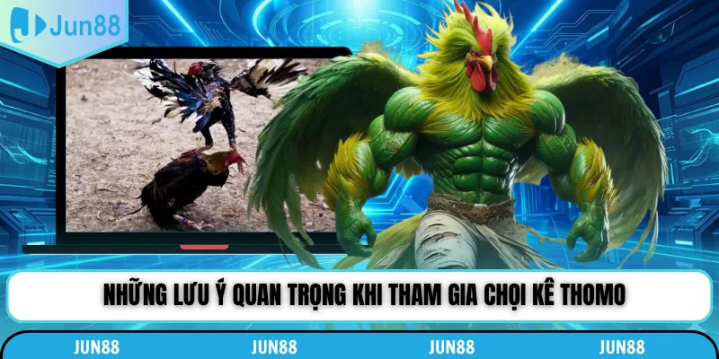 Những lưu ý quan trọng khi tham gia chọi kê Thomo