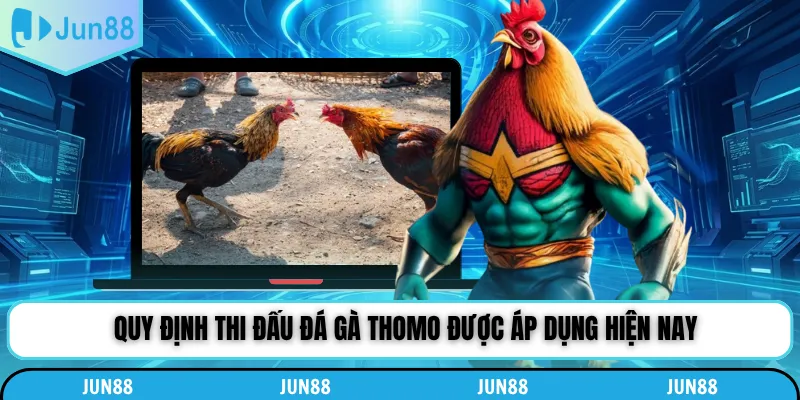 Quy định thi đấu đá gà Thomo được áp dụng hiện nay
